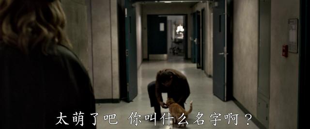 漫威惊奇队长到底有多强(漫威全村人的希望)(27)