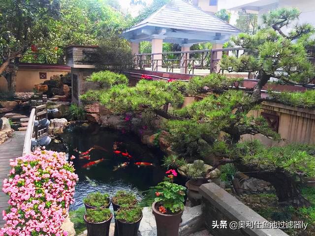 庭院三角形鱼池设计（38个庭院池塘设计案例）(4)