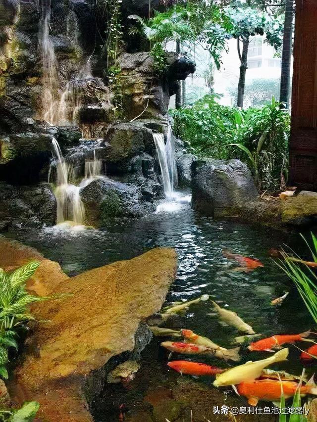 庭院三角形鱼池设计（38个庭院池塘设计案例）(6)