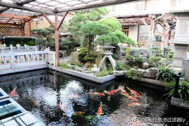 庭院三角形鱼池设计（38个庭院池塘设计案例）(15)