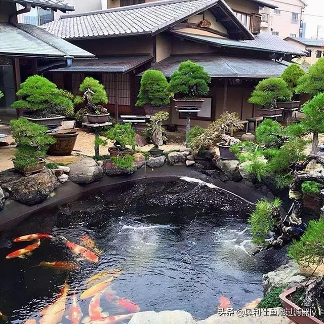 庭院三角形鱼池设计（38个庭院池塘设计案例）(3)