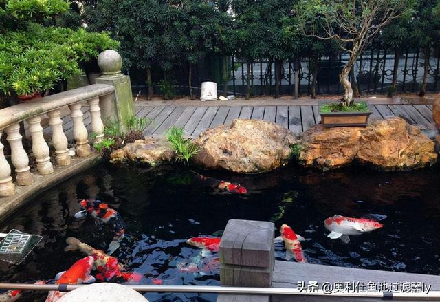 庭院三角形鱼池设计（38个庭院池塘设计案例）(16)