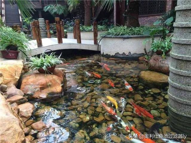 庭院三角形鱼池设计（38个庭院池塘设计案例）(14)