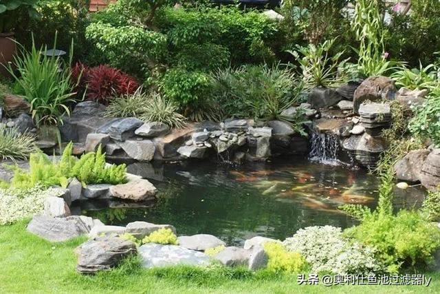 庭院三角形鱼池设计（38个庭院池塘设计案例）(42)