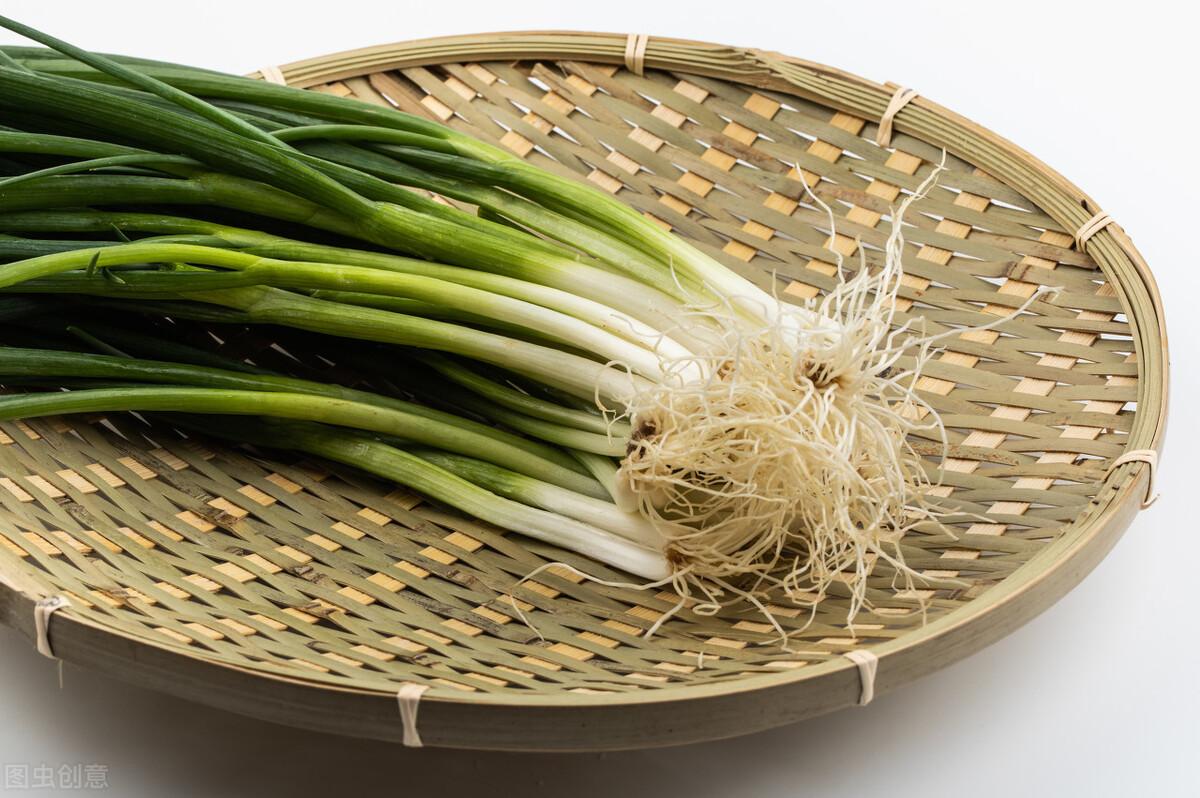 小葱怎么种发芽快（家里小葱种子怎么种植方法）