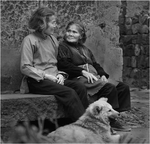 姐妹情仇林娟林云结局