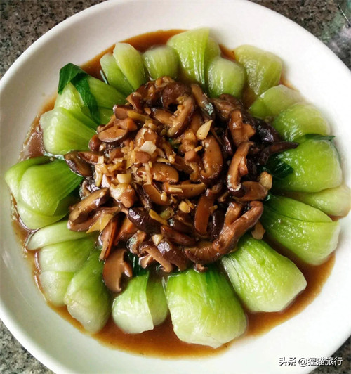 上海青为什么叫上海青(上海青名字的由来)