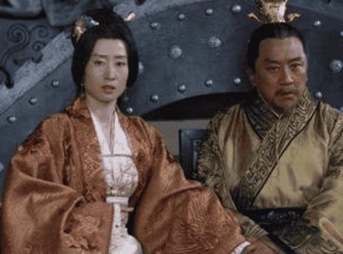 琅琊榜宸妃和梁帝（梁帝爱宸妃还是玲珑公主）