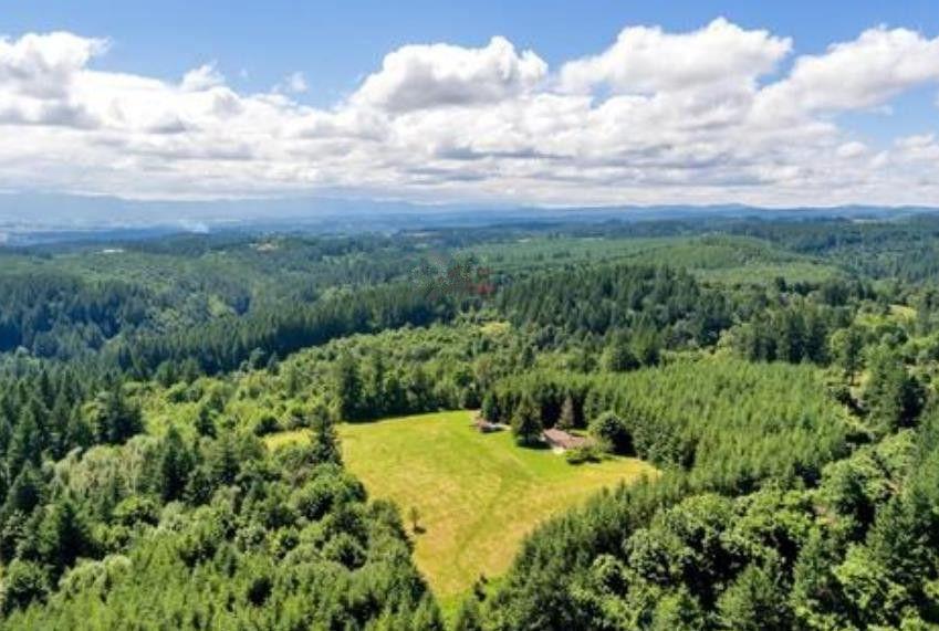 波特兰是美国几线城市（波特兰是美国哪个州）