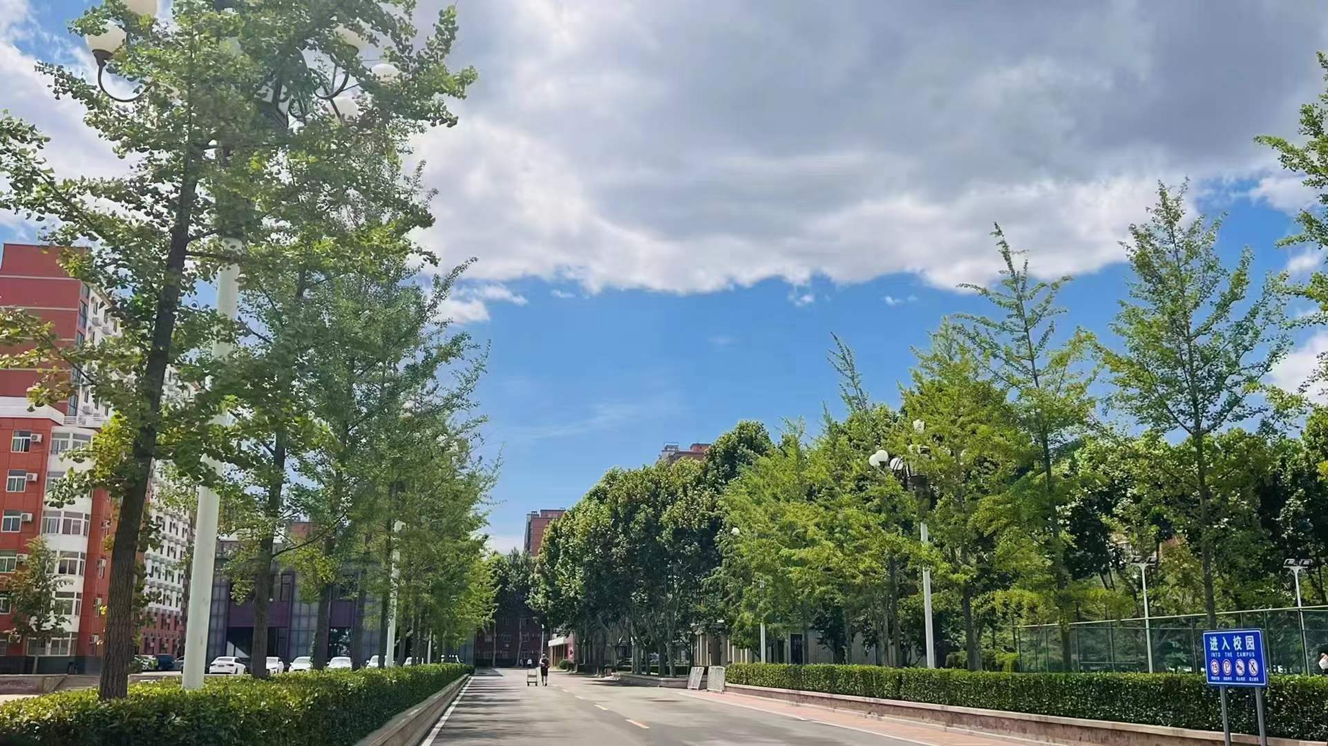 初中生读技校有用吗(技校一年学费大概多少钱)
