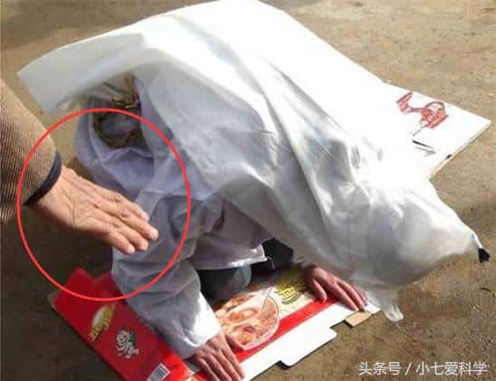 参加自己家的葬礼会运气不好么(参加葬礼注意事项和禁忌)