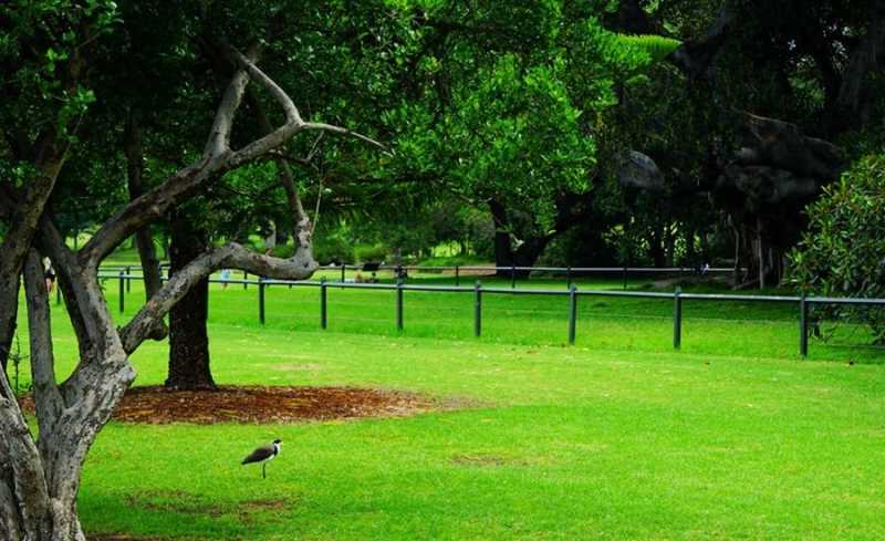 悉尼是哪个国家(澳大利亚悉尼什么时候去最合适？)