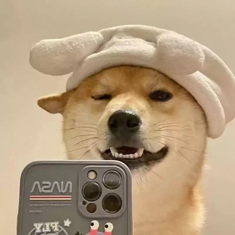 台湾人祖籍哪个省最多（台湾的祖先是哪里人）