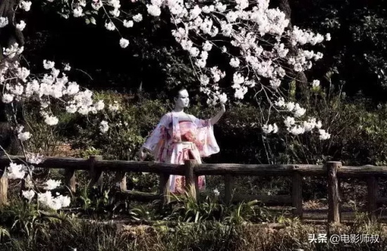 优秀的冷门电影有哪些(15部冷门高分电影推荐)