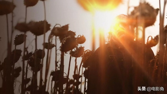 最值得看的十部恐怖电影排行榜(2022年最受期待的10部恐怖电影)