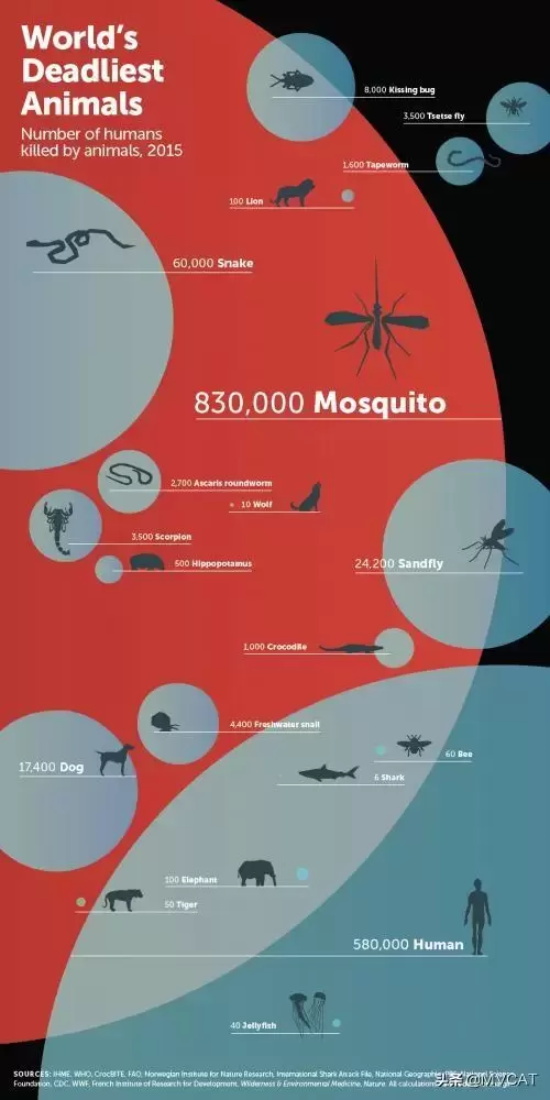 比较经典的特工电影有哪些(30部经典特工电影推荐)