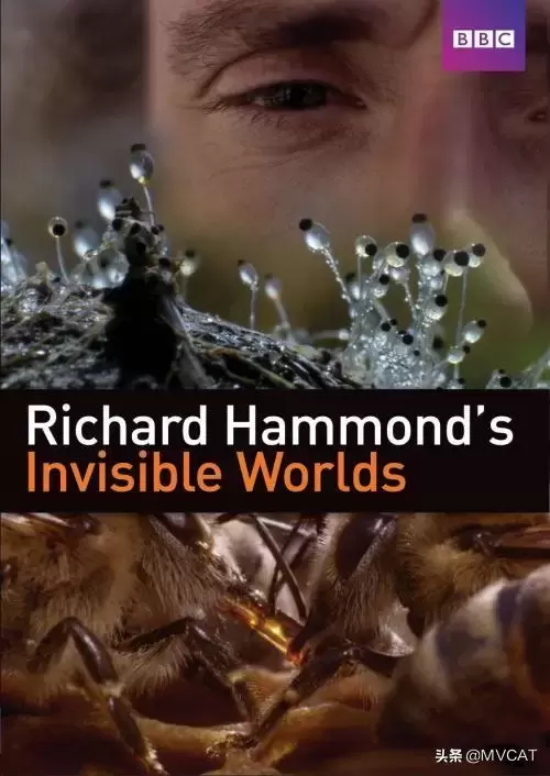 比较经典的特工电影有哪些(30部经典特工电影推荐)