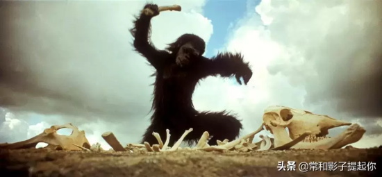 影响世界观的科幻电影有哪些(盘点10部影响世界观的科幻电影)