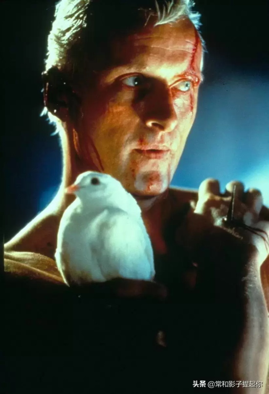 影响世界观的科幻电影有哪些(盘点10部影响世界观的科幻电影)