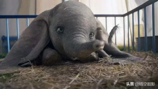 票房最高的迪士尼动画片有哪些(盘点迪士尼动画票房最高的10部真人版电影)