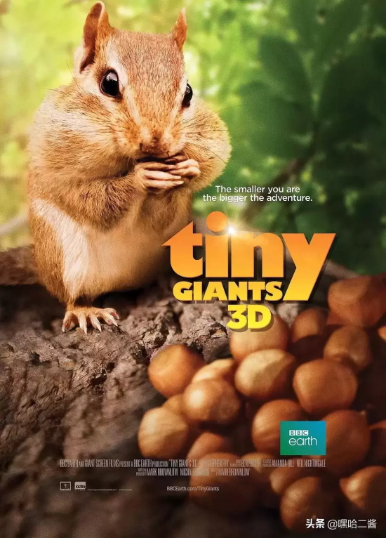 假期带孩子看什么电影(盘点5部陪孩子看的电影)