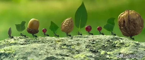 假期带孩子看什么电影(盘点5部陪孩子看的电影)