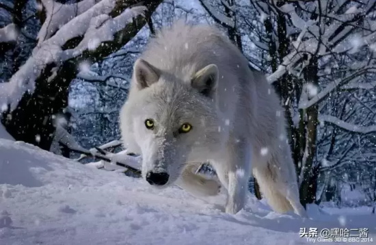 假期带孩子看什么电影(盘点5部陪孩子看的电影)