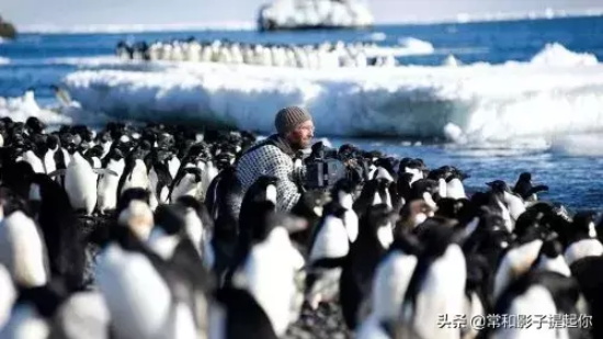 女主拯救世界的电影有哪些(盘点电影中10位“拯救世界”的女主电影)