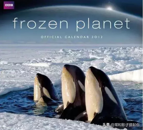 女主拯救世界的电影有哪些(盘点电影中10位“拯救世界”的女主电影)