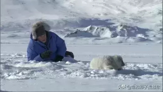 女主拯救世界的电影有哪些(盘点电影中10位“拯救世界”的女主电影)