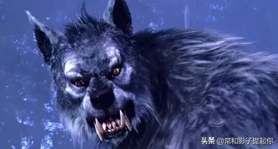 狼人有关的经典电影有哪些(盘点10部银幕上的经典狼人电影)
