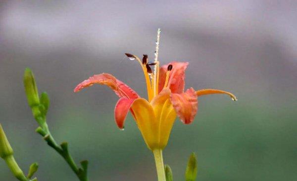 潮州是哪个省属于哪个市