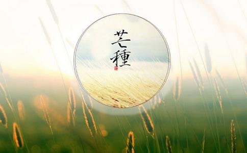 2018芒种节气怎么养生?芒种节气需要注意什么养生食谱介绍