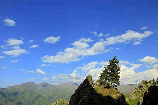 不畏浮云遮望眼下一句是什么