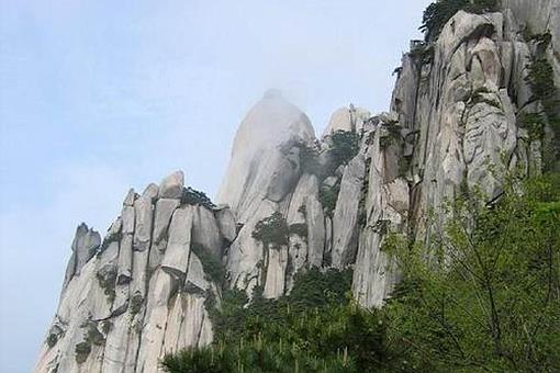 不畏浮云遮望眼下一句是什么