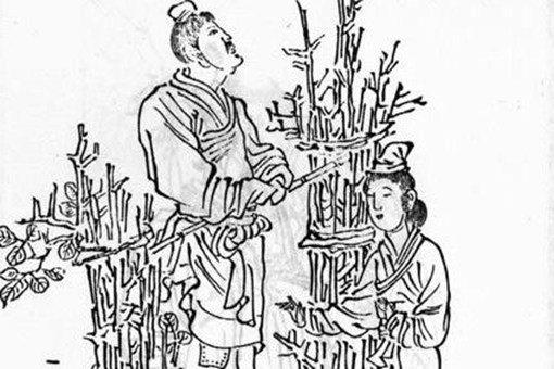 朱买臣妻子崔氏为何自尽?覆水难收的典故介绍