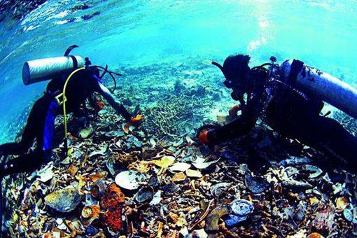 邓世昌的配枪是什么手枪 来自哪里