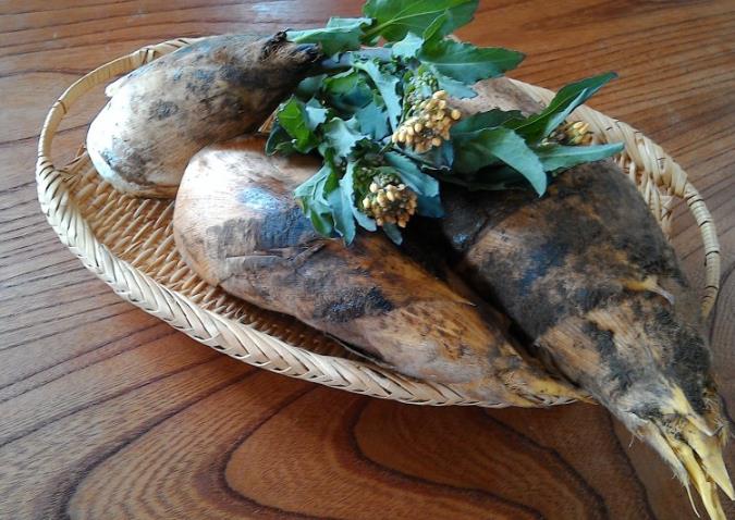 新鲜竹笋怎么保鲜储存 新鲜竹笋如何处理能长期保鲜