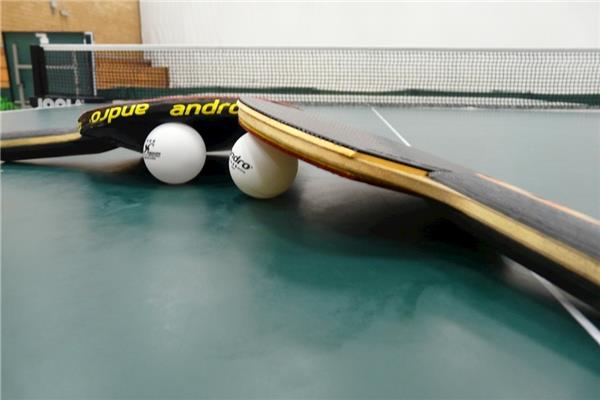 乒乓球有哪些大型赛事 孙颖莎晋级WTT世界杯决赛女单八强