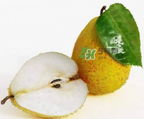 梨子什么时候吃最好？梨子什么时候成熟