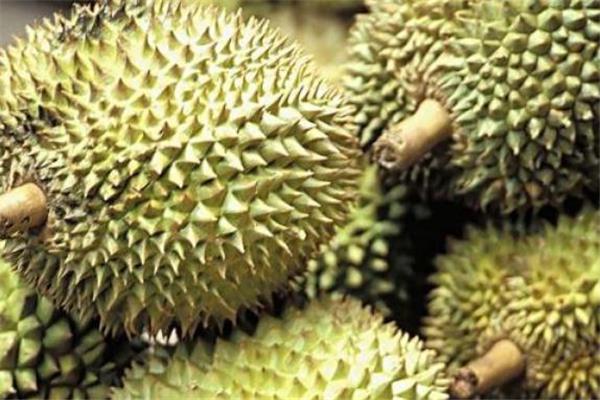 榴莲壳长毛了还能吃吗 榴莲壳怎么保存