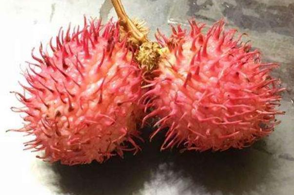 红毛丹要放冰箱保存吗 红毛丹的保存方法