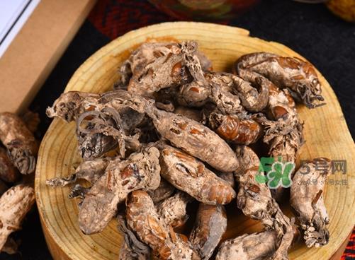 金蝉花可以放在冰箱吗？新鲜金蝉花怎么保存？