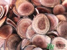 鹿茸可以泡酒吗?鹿茸泡酒的功效