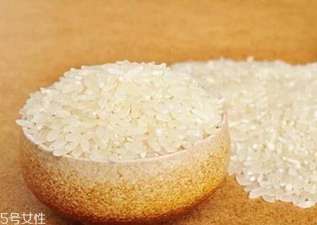东北珍珠米是转基因的吗 东北珍珠米怎么样 东北珍珠米是转基因的吗 东北珍珠米怎么样