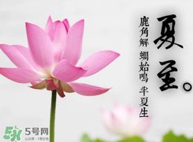 夏至是入伏吗?夏至后多久入伏? 夏至是入伏吗?夏至后多久入伏?