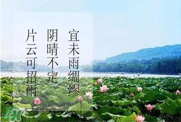 夏至是入伏吗?夏至后多久入伏? 夏至是入伏吗?夏至后多久入伏?