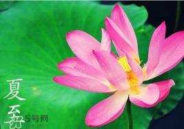 夏至是入伏吗?夏至后多久入伏? 夏至是入伏吗?夏至后多久入伏?