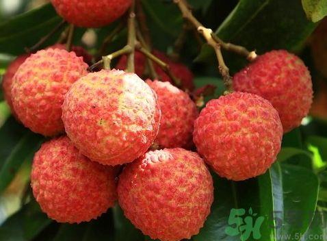 荔枝是酸性还是碱性?荔枝是酸性的食物吗?