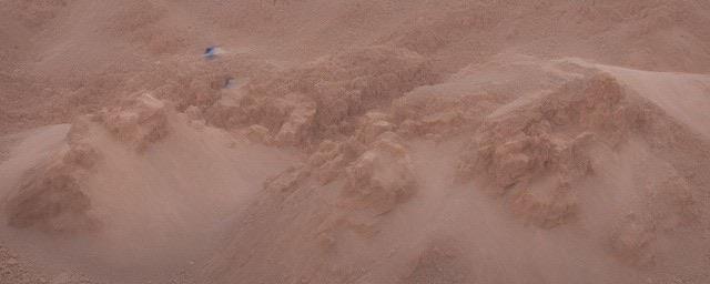 网络图片(侵删)